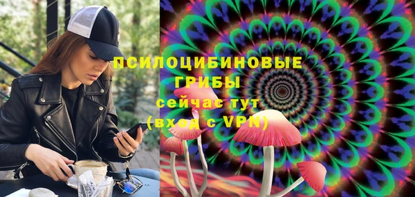 мдпв Касимов