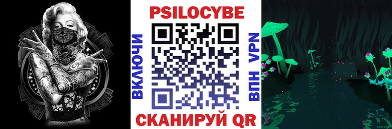 Галлюциногенные грибы мицелий  Купить закладки  Судогда 